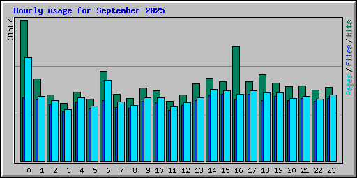 Hourly usage for September 2025
