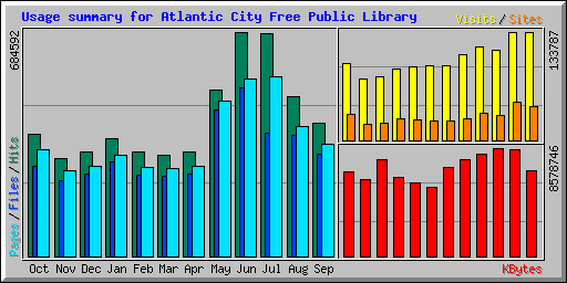 Usage summary for Atlantic City Free Public Library