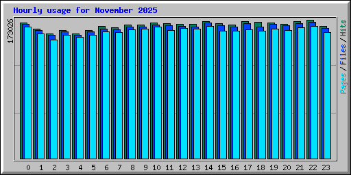 Hourly usage for November 2025