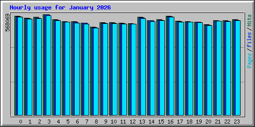 Hourly usage for January 2026